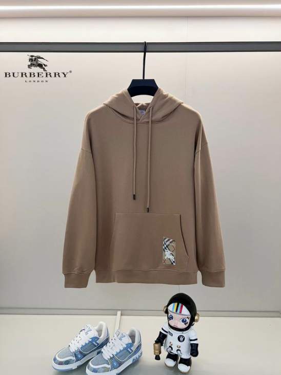 Picture of Burberry Hoodies _SKUBurberryXS-L24cr271895